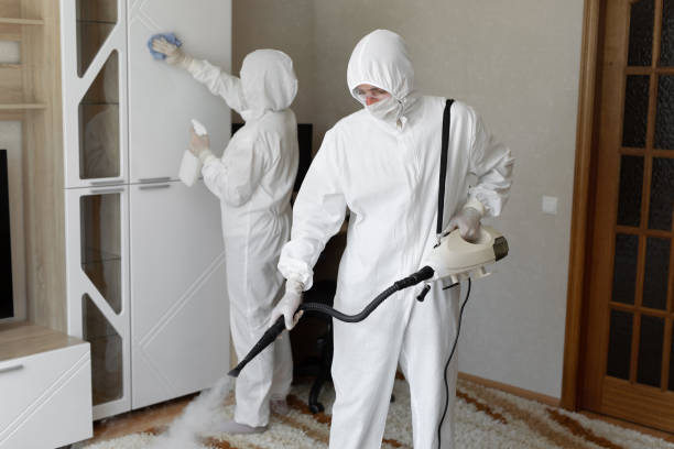 Best Industrial Mold Remediation in Franklin, VA