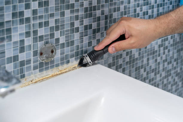 Professional Mold Remediation in Franklin, VA